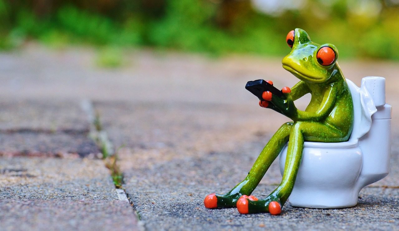 frog, mobile, toilet, loo, wc, fun, meeting, cute, toilet, toilet, toilet, toilet, toilet